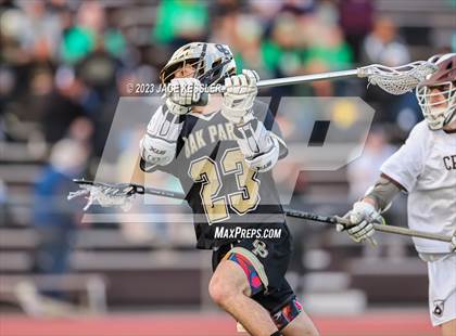 Thumbnail 3 in Oak Park @ Crespi photogallery.