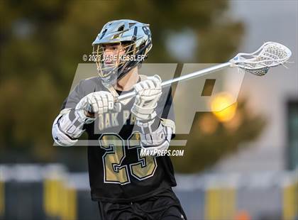 Thumbnail 1 in Oak Park @ Crespi photogallery.