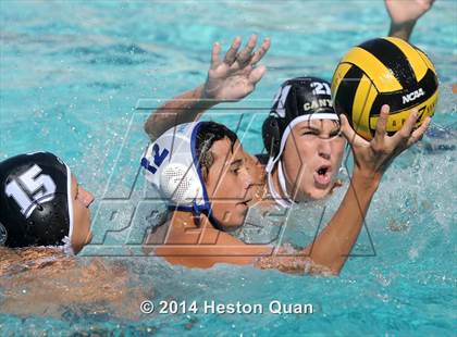 Thumbnail 3 in Norco @ Canyon photogallery.