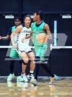 Photo from the gallery "J.H. Rose @ Havelock"