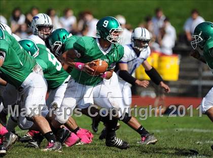 Thumbnail 3 in Putnam Valley @ Irvington photogallery.