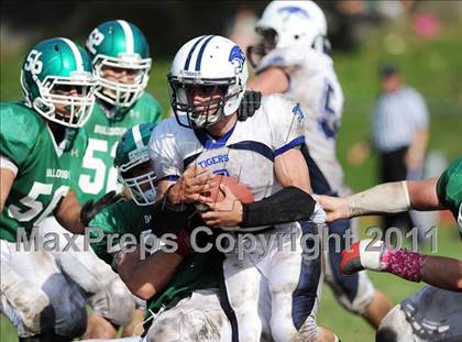 Thumbnail 1 in Putnam Valley @ Irvington photogallery.
