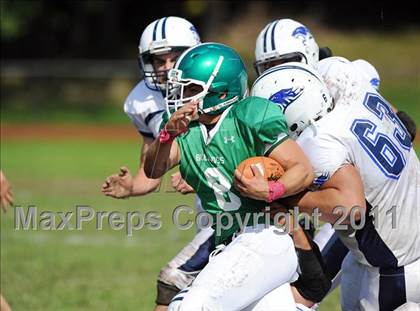 Thumbnail 3 in Putnam Valley @ Irvington photogallery.