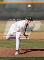 Photo from the gallery "Alameda @ D'Evelyn"