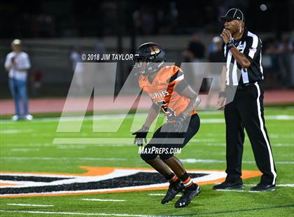 Thumbnail 3 in Arlington Heights @ Springtown photogallery.