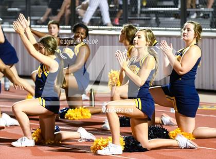 Thumbnail 2 in Arlington Heights @ Springtown photogallery.