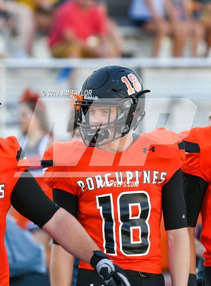 Thumbnail 3 in Arlington Heights @ Springtown photogallery.
