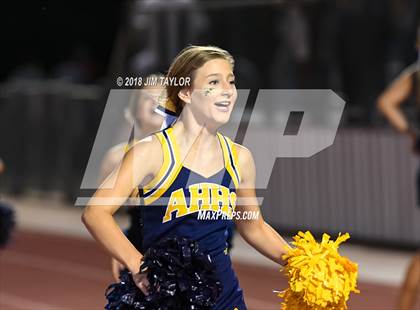 Thumbnail 1 in Arlington Heights @ Springtown photogallery.