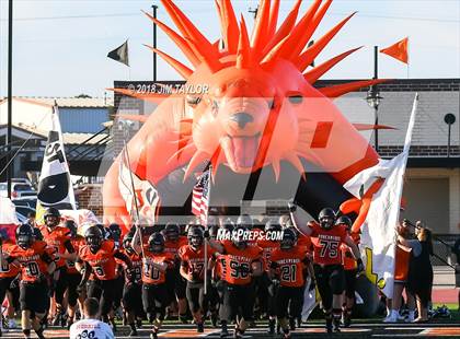 Thumbnail 2 in Arlington Heights @ Springtown photogallery.
