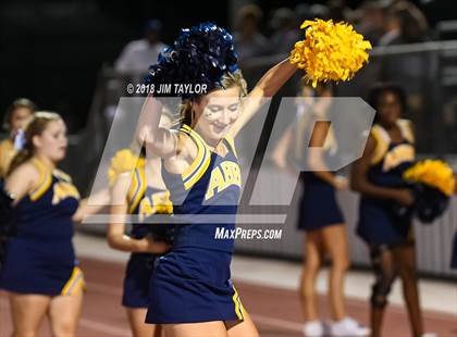 Thumbnail 2 in Arlington Heights @ Springtown photogallery.