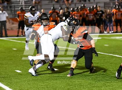 Thumbnail 1 in Arlington Heights @ Springtown photogallery.