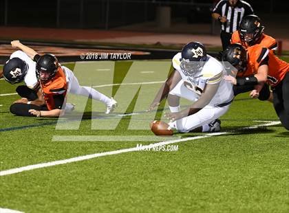 Thumbnail 1 in Arlington Heights @ Springtown photogallery.
