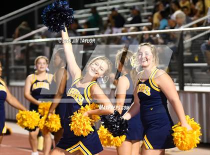 Thumbnail 2 in Arlington Heights @ Springtown photogallery.