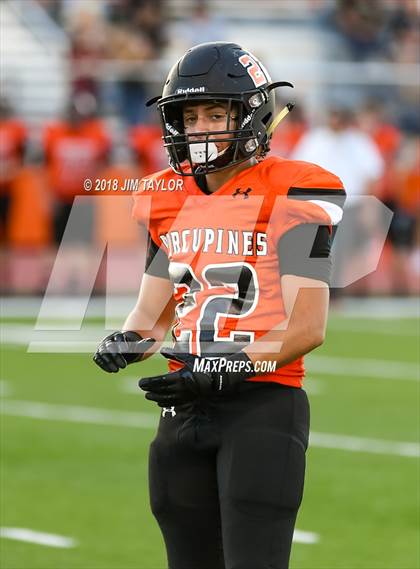 Thumbnail 3 in Arlington Heights @ Springtown photogallery.