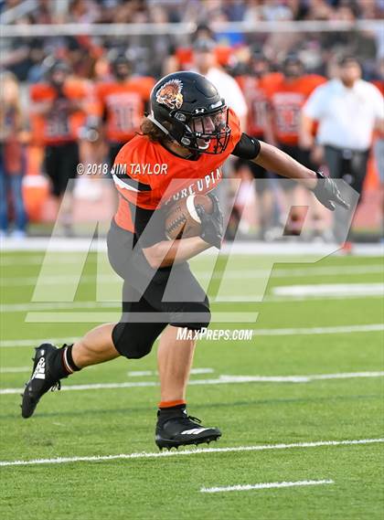 Thumbnail 3 in Arlington Heights @ Springtown photogallery.