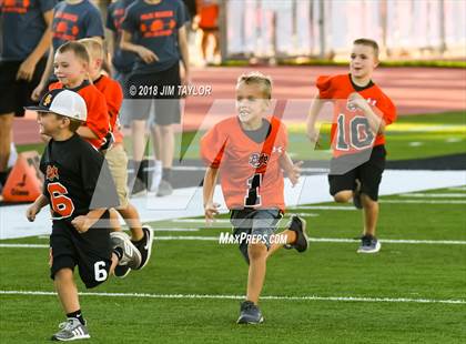 Thumbnail 2 in Arlington Heights @ Springtown photogallery.