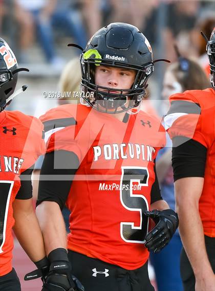 Thumbnail 2 in Arlington Heights @ Springtown photogallery.