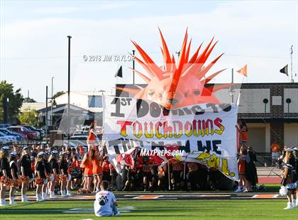 Thumbnail 3 in Arlington Heights @ Springtown photogallery.