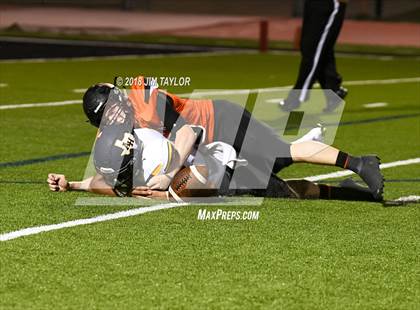 Thumbnail 3 in Arlington Heights @ Springtown photogallery.