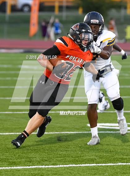 Thumbnail 1 in Arlington Heights @ Springtown photogallery.