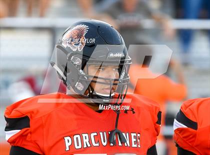 Thumbnail 2 in Arlington Heights @ Springtown photogallery.