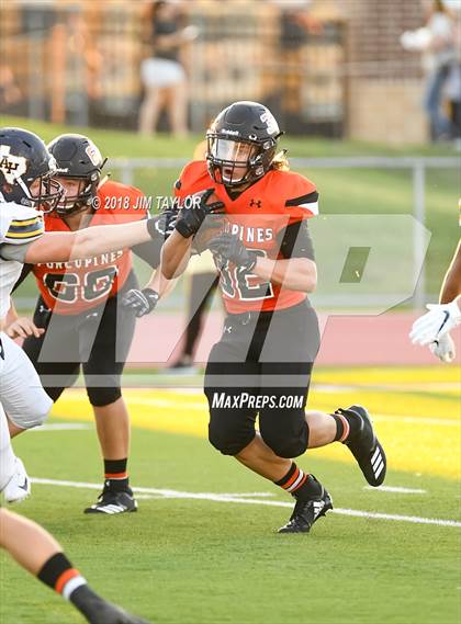 Thumbnail 1 in Arlington Heights @ Springtown photogallery.