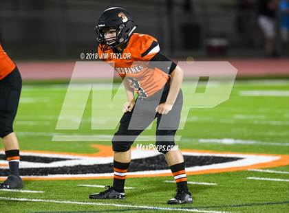 Thumbnail 1 in Arlington Heights @ Springtown photogallery.