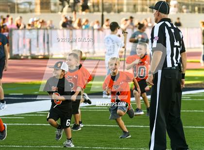 Thumbnail 1 in Arlington Heights @ Springtown photogallery.