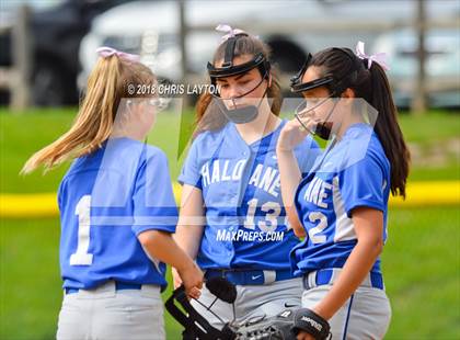 Thumbnail 3 in North Salem @ Haldane photogallery.