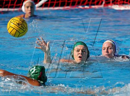 Thumbnail 3 in Del Campo vs Dixon (CIF SJS D2 Playoffs) photogallery.