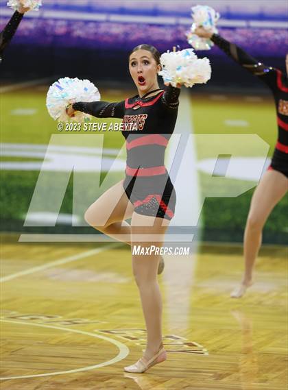 Thumbnail 3 in Castle View CHSAA Spirit Poms photogallery.