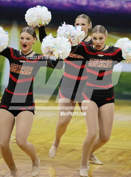 Thumbnail 3 in Castle View CHSAA Spirit Poms photogallery.