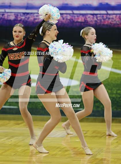 Thumbnail 3 in Castle View CHSAA Spirit Poms photogallery.