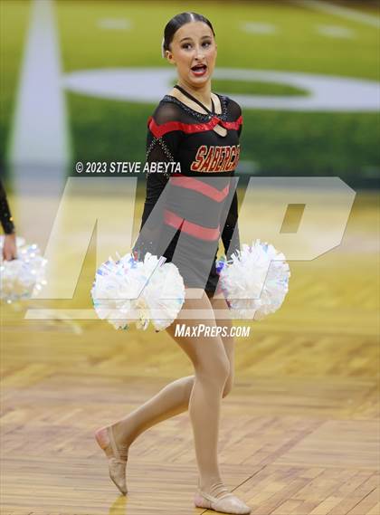 Thumbnail 3 in Castle View CHSAA Spirit Poms photogallery.