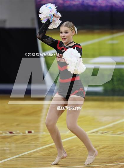 Thumbnail 1 in Castle View CHSAA Spirit Poms photogallery.