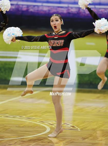 Thumbnail 2 in Castle View CHSAA Spirit Poms photogallery.