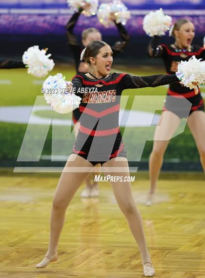 Thumbnail 3 in Castle View CHSAA Spirit Poms photogallery.