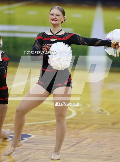 Thumbnail 3 in Castle View CHSAA Spirit Poms photogallery.