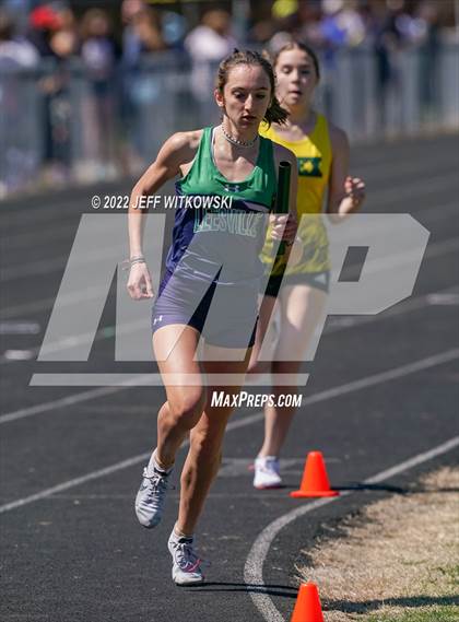 Thumbnail 2 in Apex Lions' Relays photogallery.