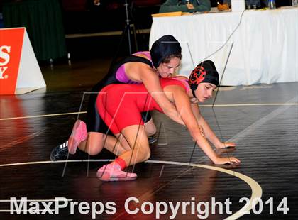 Thumbnail 1 in CIF State Girls Wrestling Championships (Consolation Round A) photogallery.
