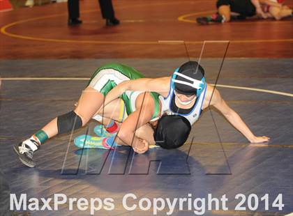 Thumbnail 2 in CIF State Girls Wrestling Championships (Consolation Round A) photogallery.