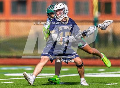 Thumbnail 2 in Bethpage @ Seaford photogallery.