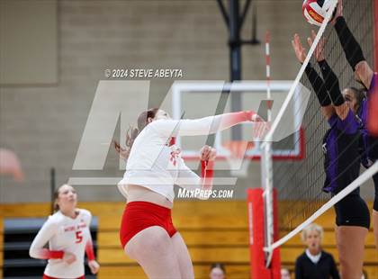 Thumbnail 1 in Douglas County @ Regis Jesuit photogallery.