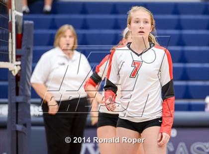 Thumbnail 3 in Lovejoy @ Wylie East photogallery.