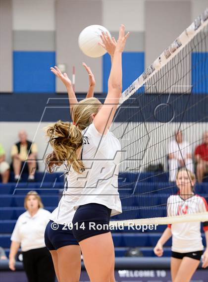 Thumbnail 3 in Lovejoy @ Wylie East photogallery.