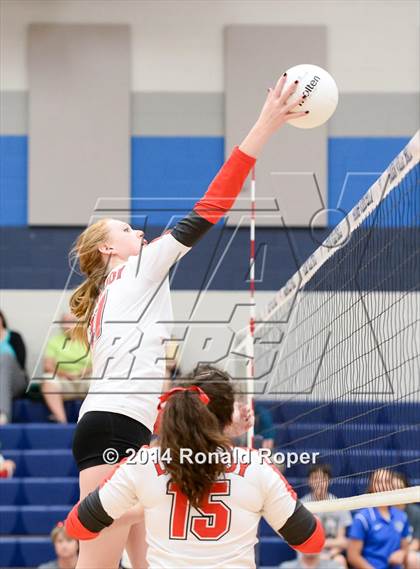 Thumbnail 1 in Lovejoy @ Wylie East photogallery.