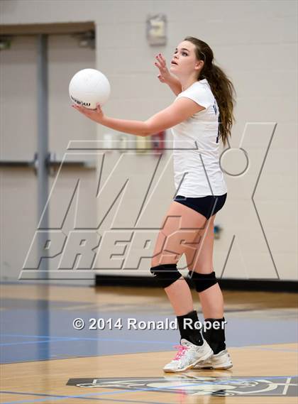 Thumbnail 3 in Lovejoy @ Wylie East photogallery.