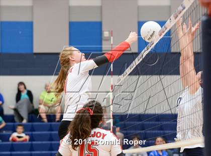 Thumbnail 2 in Lovejoy @ Wylie East photogallery.