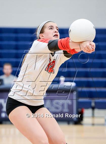 Thumbnail 1 in Lovejoy @ Wylie East photogallery.