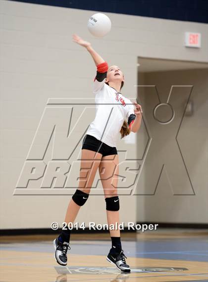 Thumbnail 3 in Lovejoy @ Wylie East photogallery.